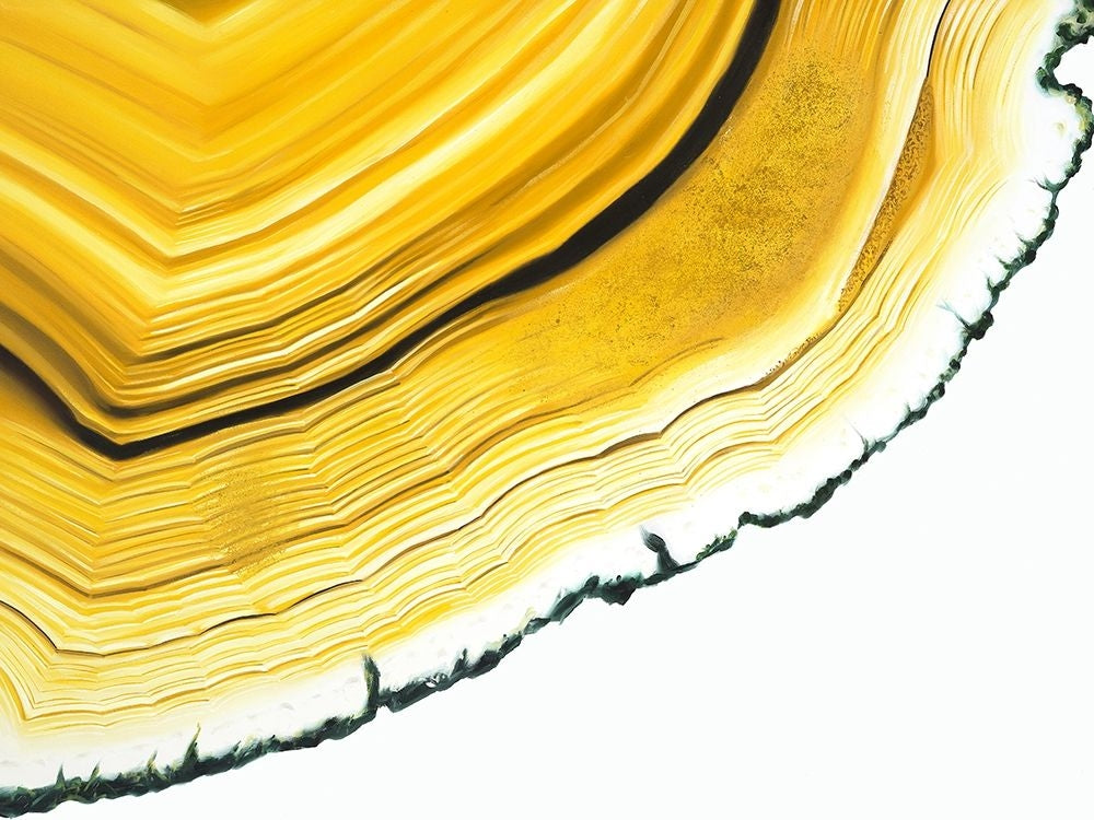 Agate Section Poster Print by Urban Road Urban Road-VARPDXUR11063 Image 1