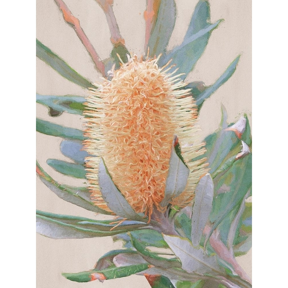 Golden Banksia Art Print Poster Print by Urban Road Urban Road-VARPDXUR1233 Image 1