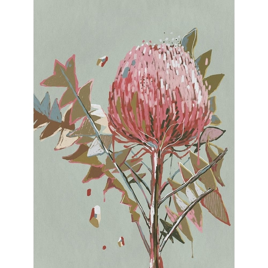 Sage Waratah by Urban Road-VARPDXUR1675 Image 1