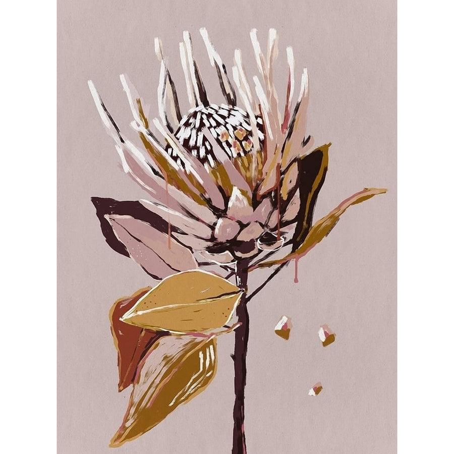 Blush Protea by Urban Road-VARPDXUR1682 Image 1