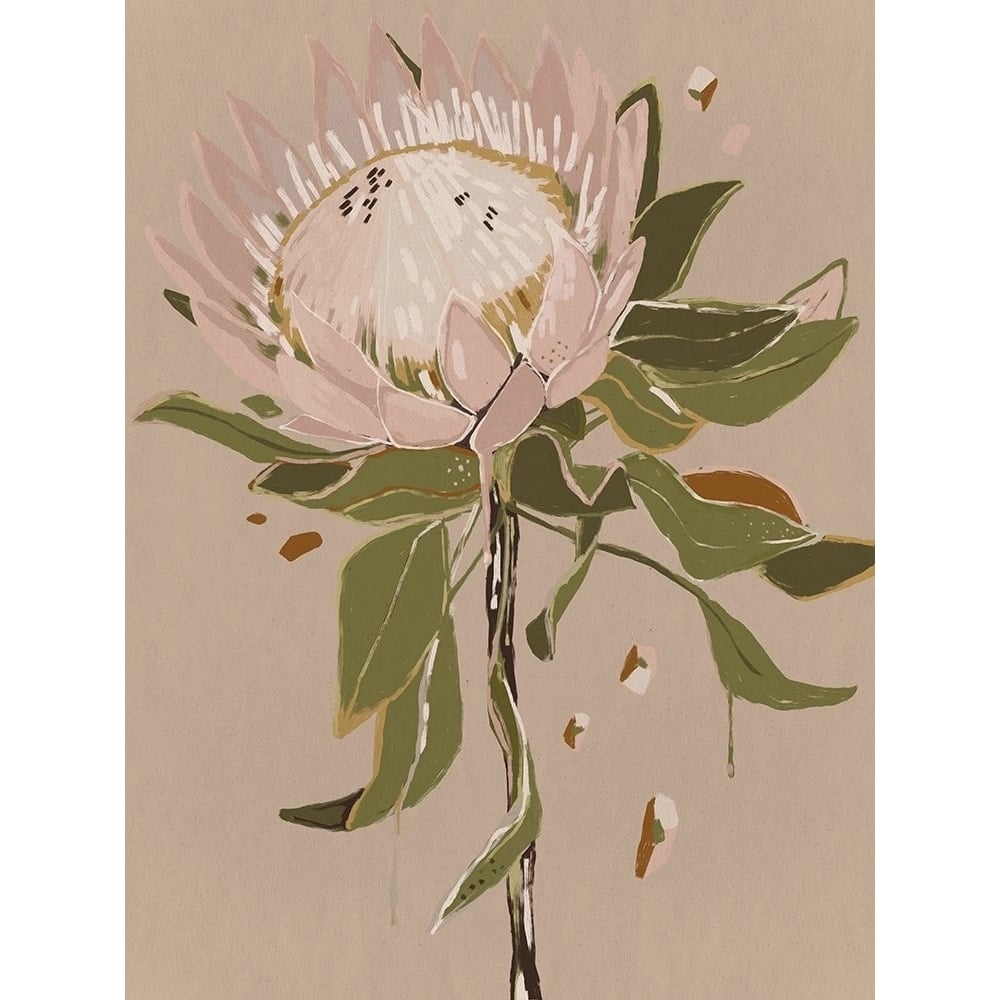 Neutral Protea by Urban Road-VARPDXUR1679 Image 1