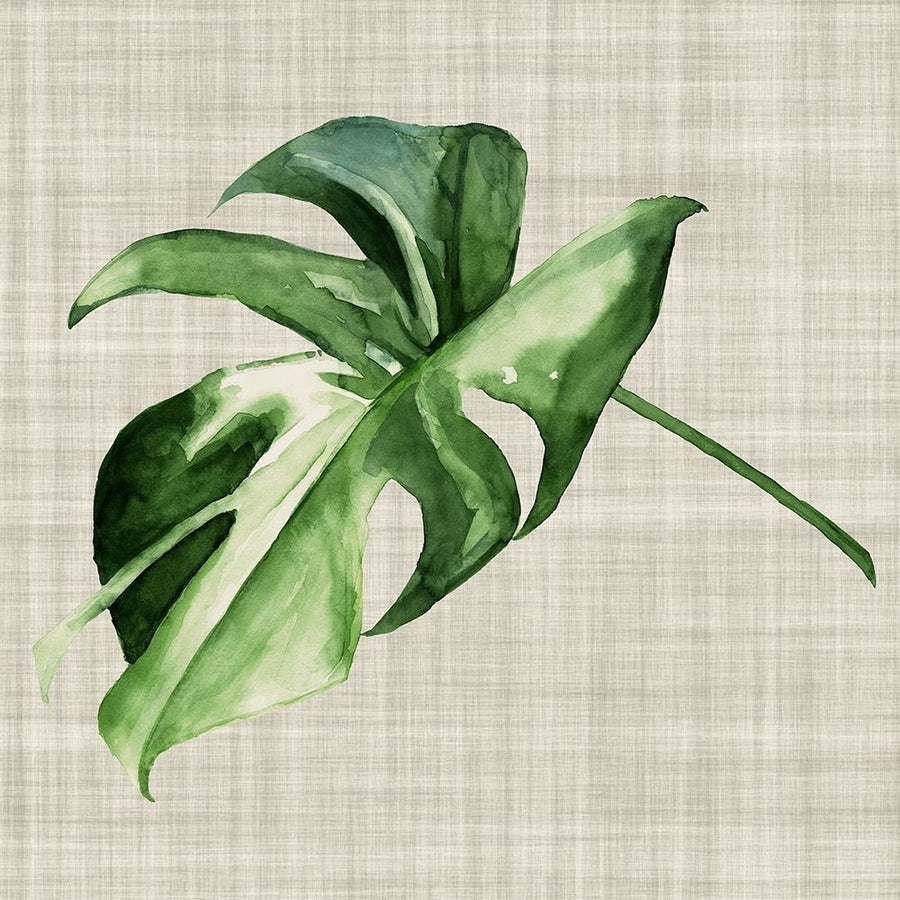 Araceae Poster Print by Urban Road Urban Road-VARPDXUR206 Image 1