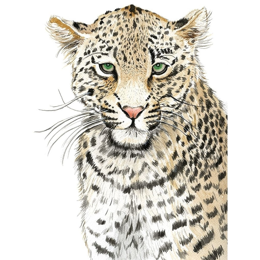 Leopard-VARPDXUR225 Image 1