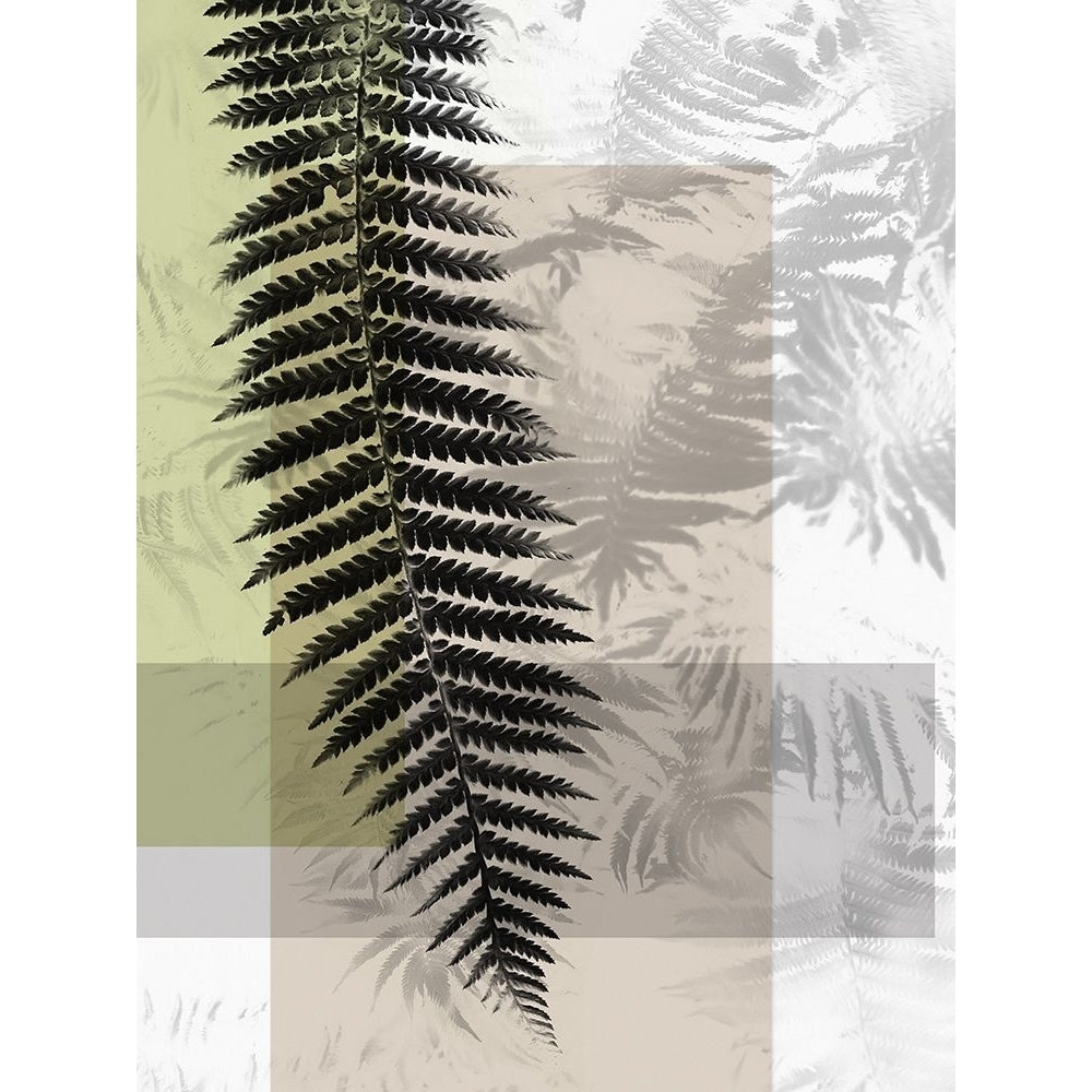 Plantation III Poster Print by Urban Road Urban Road-VARPDXUR920 Image 1