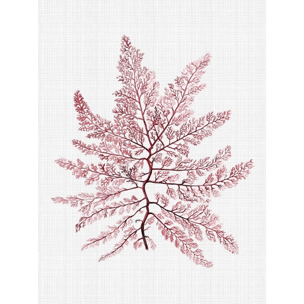 Bermuda Blush Poster Poster Print by Urban Road Urban Road-VARPDXURP186 Image 1