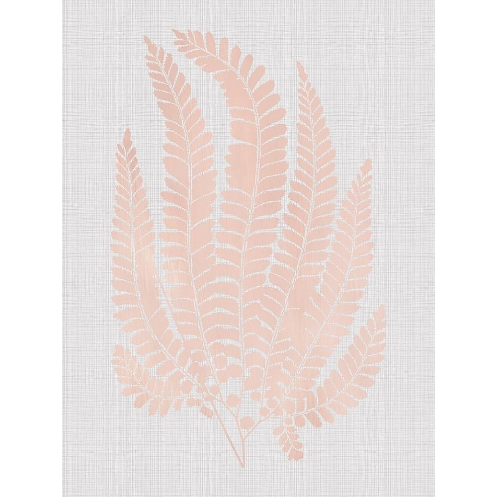 Maple Blush Poster Poster Print by Urban Road Urban Road-VARPDXURP66 Image 1