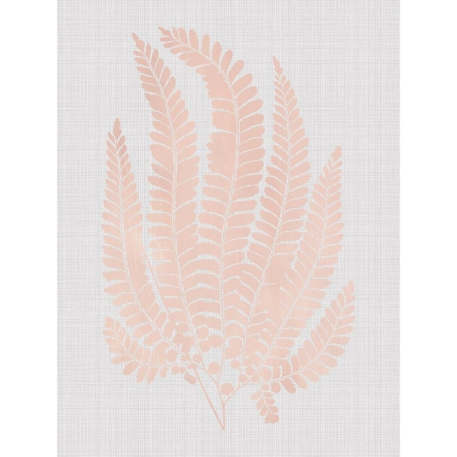 Maple Blush Poster Poster Print by Urban Road Urban Road-VARPDXURP66 Image 1