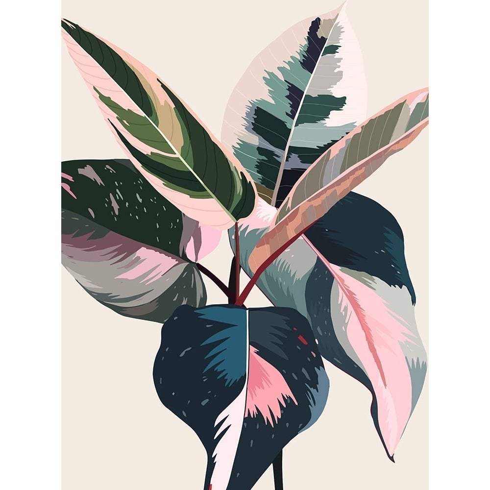 Pink Ficus Poster by Urban Road-VARPDXURP726 Image 1