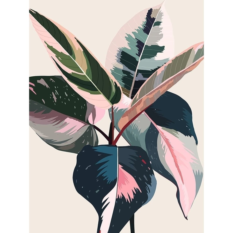 Pink Ficus Poster by Urban Road-VARPDXURP726 Image 1