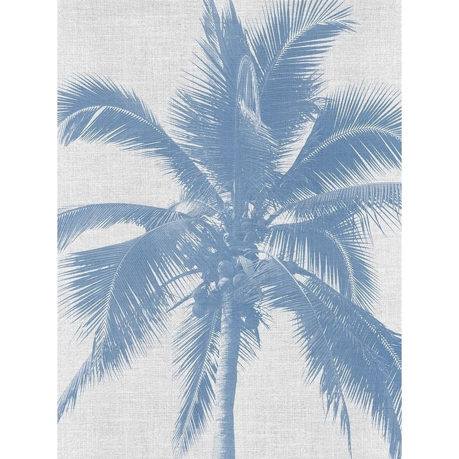 Denim Palms II Poster by Urban Road-VARPDXURP725 Image 1