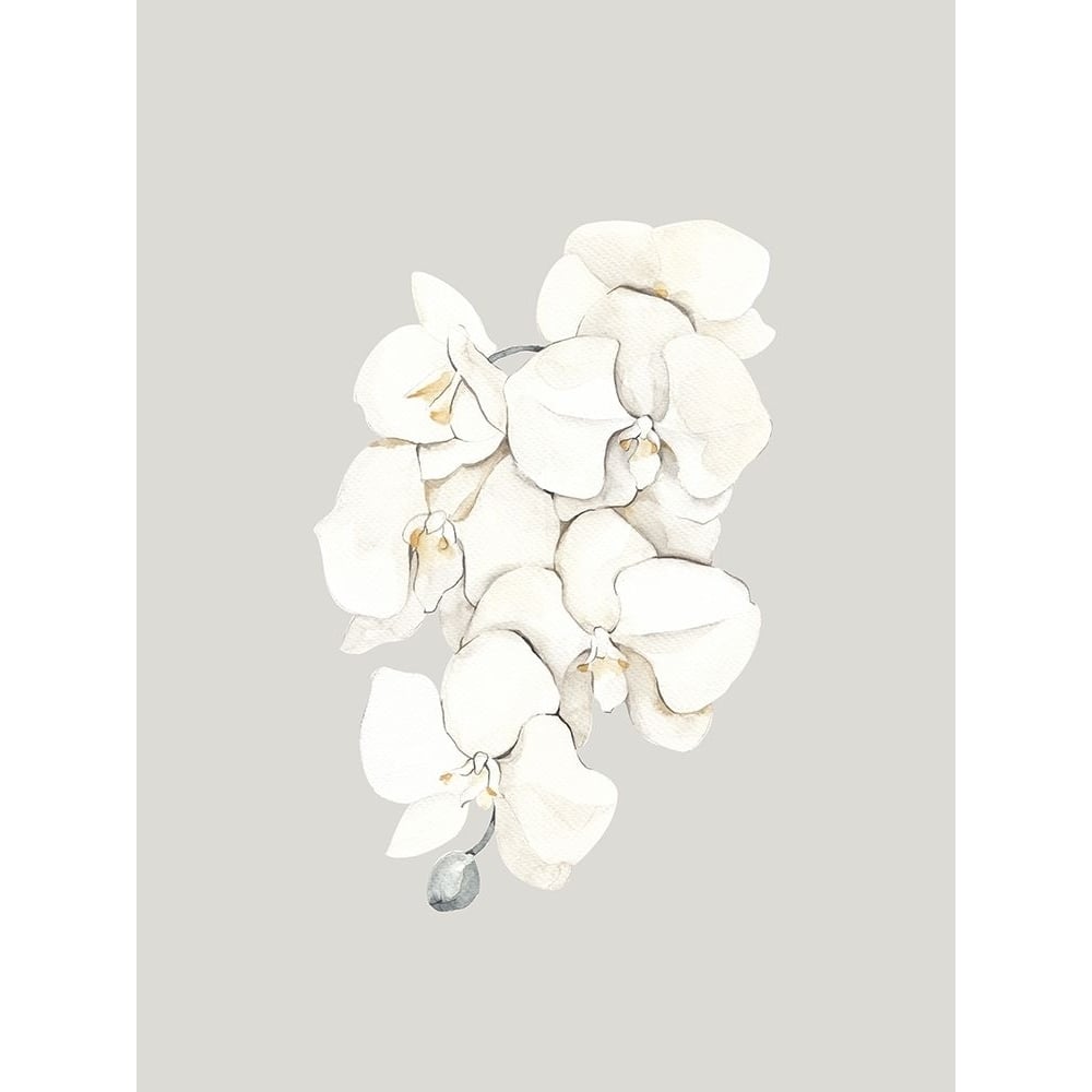 Beige Lilies Poster by Urban Road-VARPDXURP732 Image 1