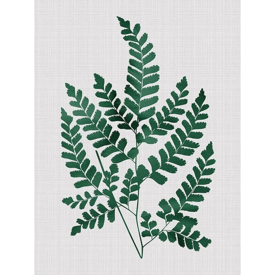 Chestnut Green Poster Poster Print by Urban Road Urban Road-VARPDXURP74 Image 1