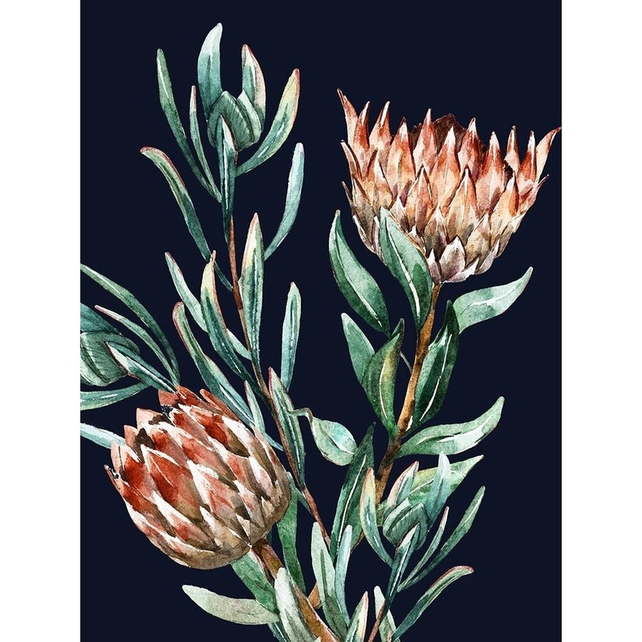 Dark Proteas II Poster by Urban Road-VARPDXURP746 Image 1