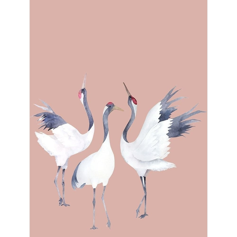 Cranes Poster by Urban Road-VARPDXURP758 Image 1