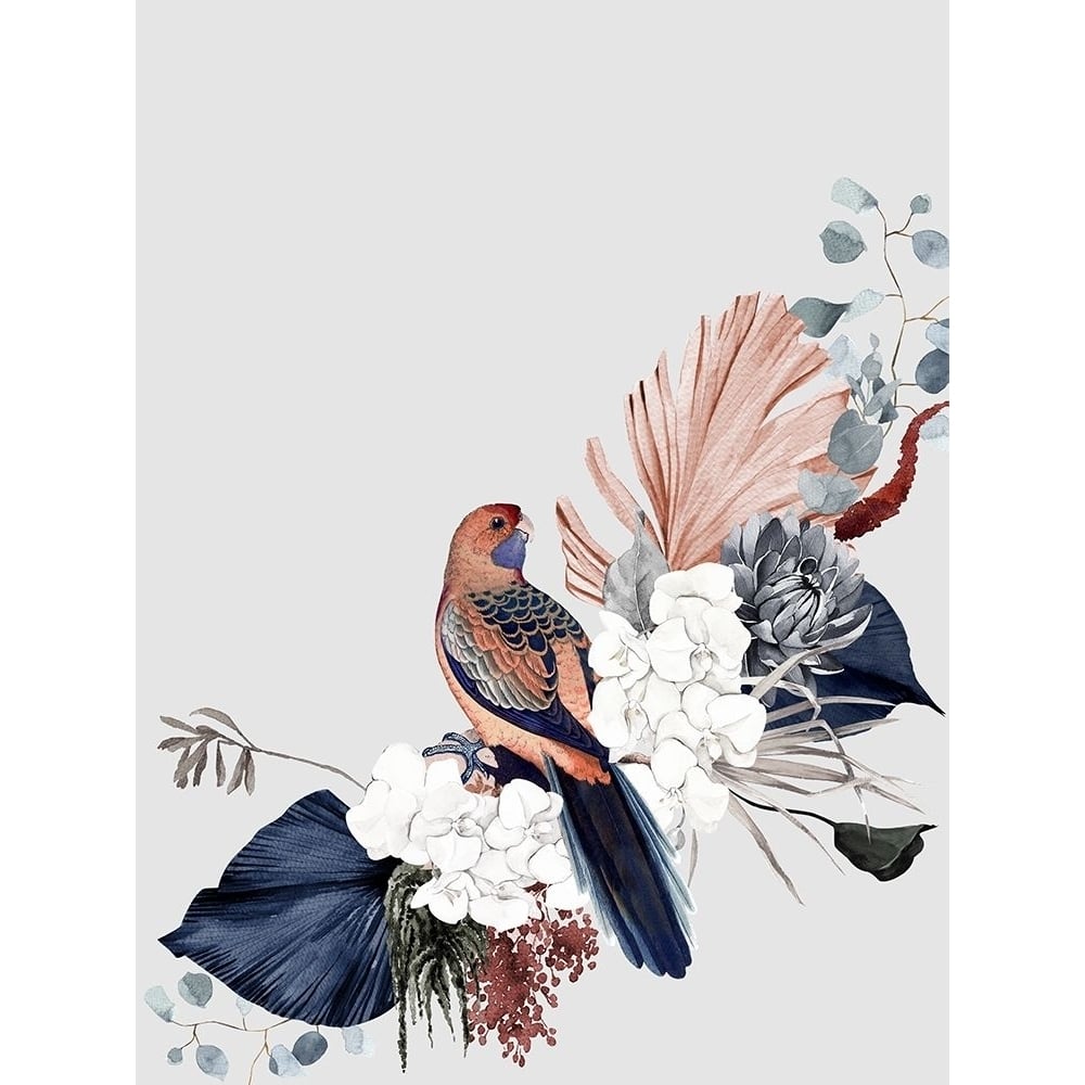 Blushing Rosella Poster by Urban Road-VARPDXURP754 Image 1