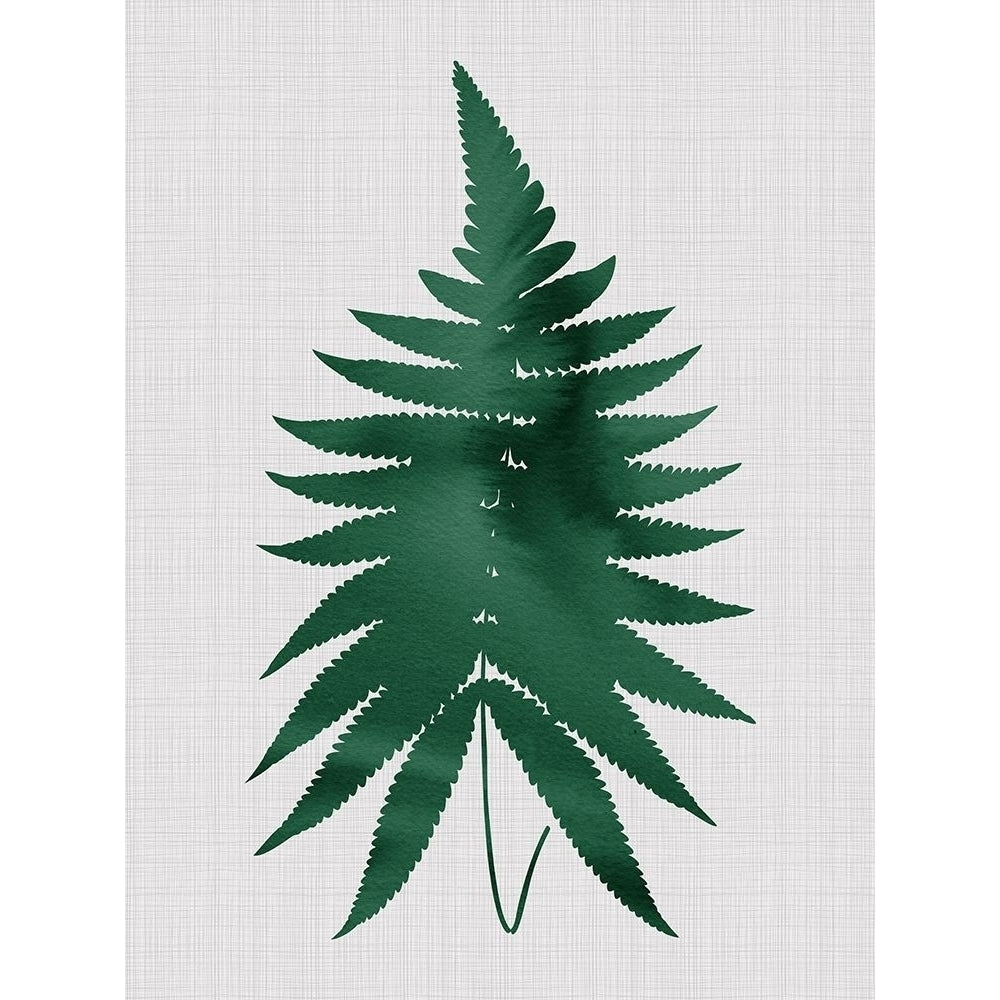 Fern Green Poster Poster Print by Urban Road Urban Road-VARPDXURP77 Image 1