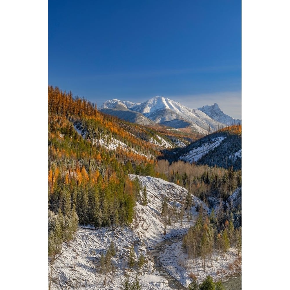 Coal Creek with Cloudcroft Peaks in late autumn in Glacier National Park-Montana-USA Poster Print - Chuck Image 1