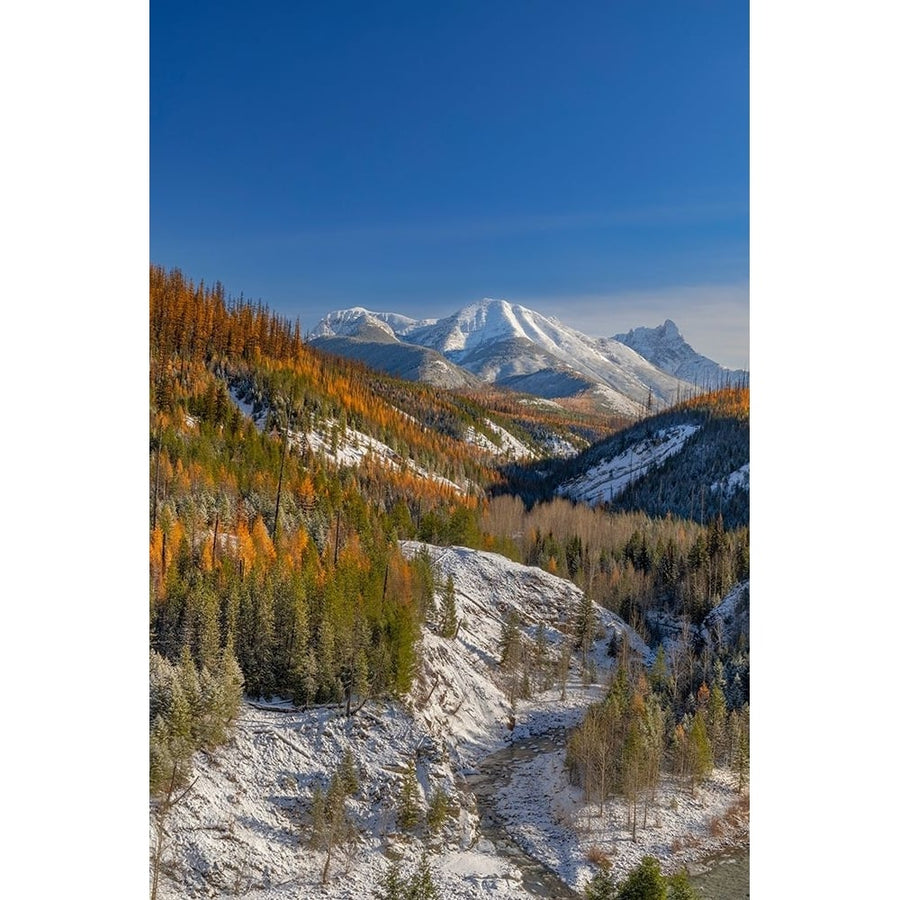 Coal Creek with Cloudcroft Peaks in late autumn in Glacier National Park-Montana-USA Poster Print - Chuck Image 1