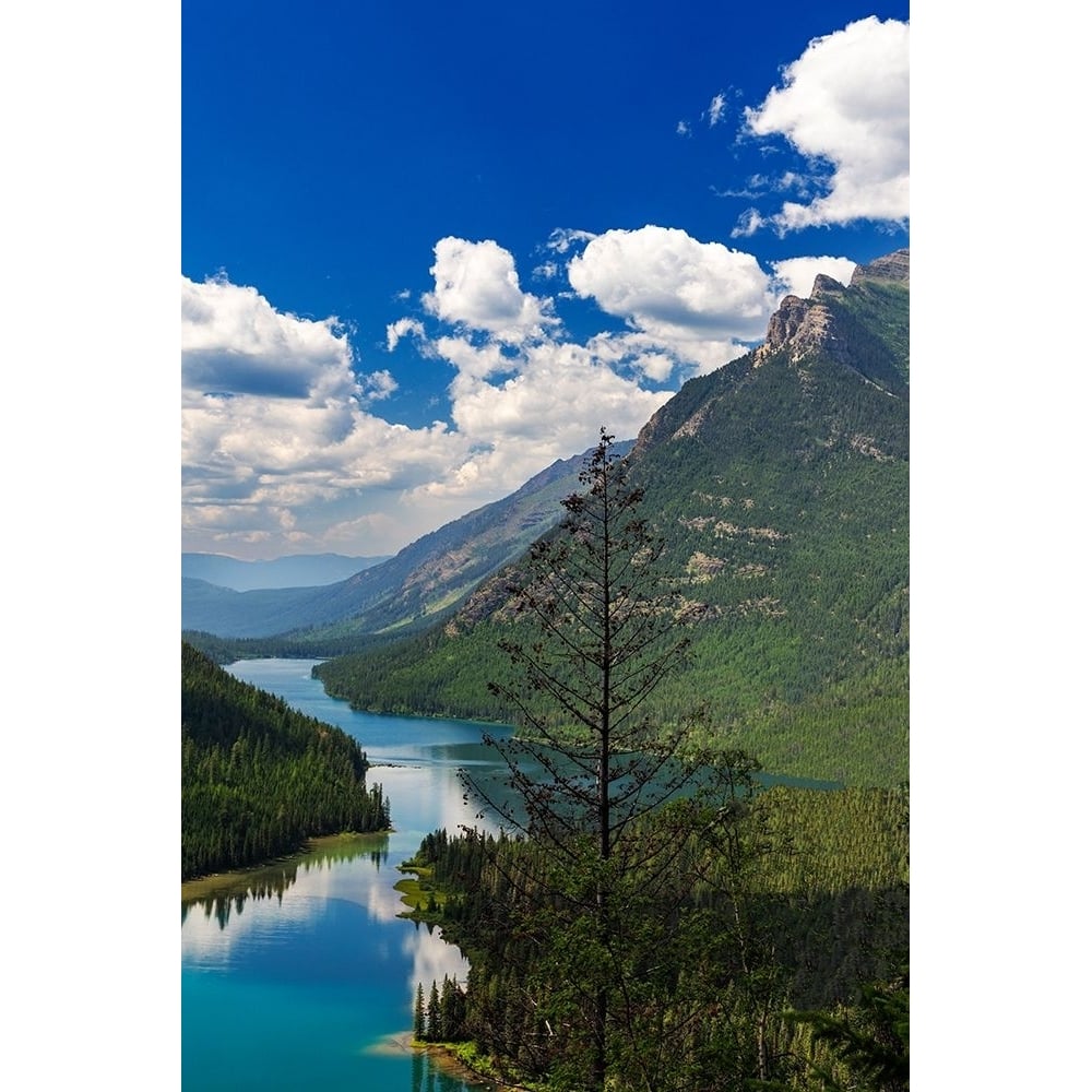 Looking down on to Upper Kintla Lake in Glacier National Park-Montana-USA Poster Print - Chuck Haney-VARPDXUS27CHA5318 Image 1