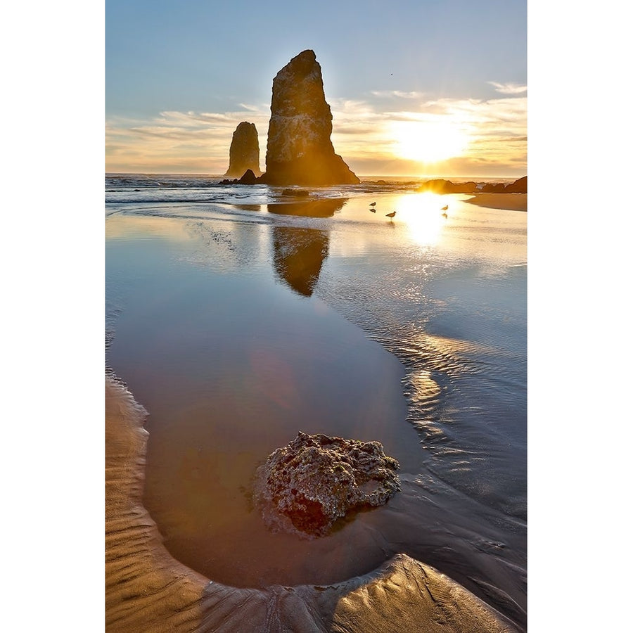 USA- Oregon. Cannon Beach low tide and ripples in the sand and sea stacks at sunset. Poster Print - Darrell Image 1