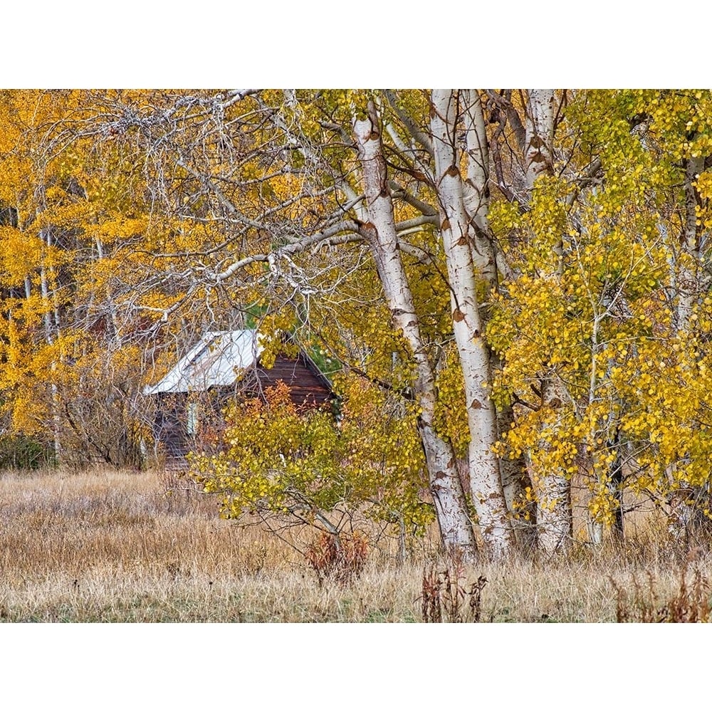 USA-Washington State-Eastern Washington-Cle Elum-Kittitas County. Poster Print - Julie Eggers-VARPDXUS48JEG0626 Image 1