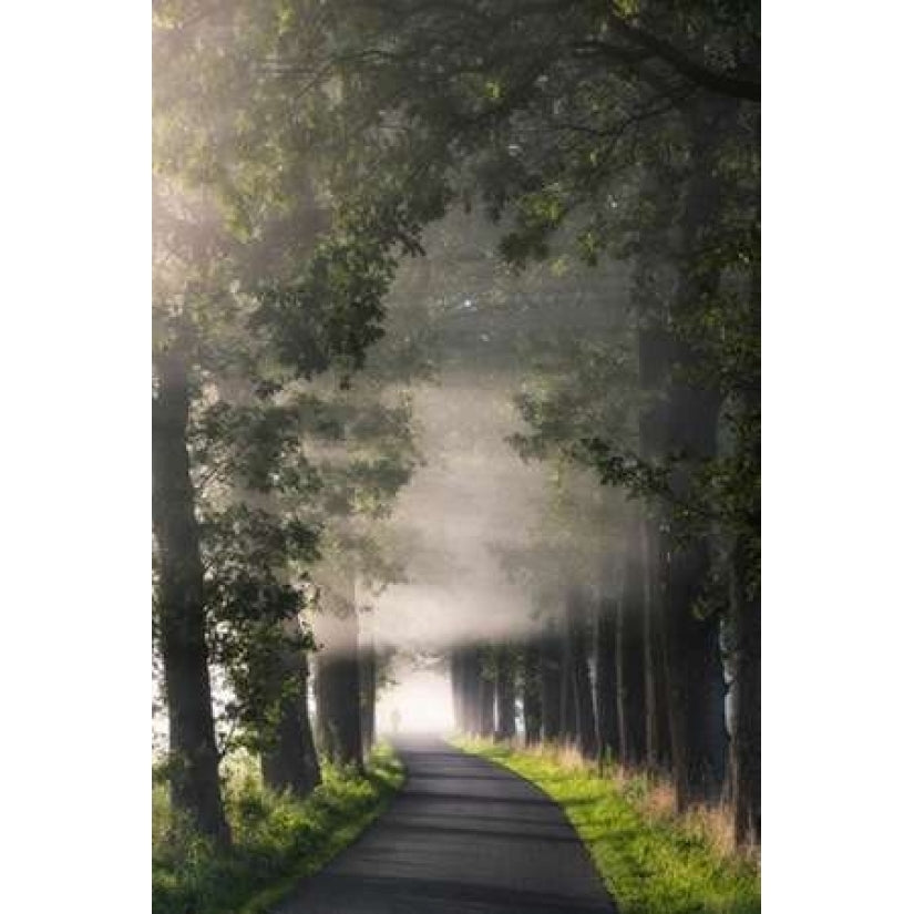 Rays of Fog Poster Print by Lars Van de Goor-VARPDXV588D Image 2