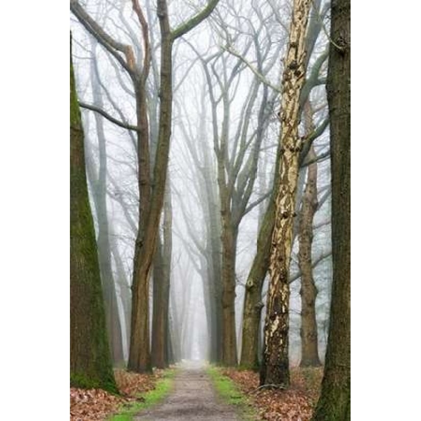 At the End You Will Find a Beginning Poster Print by Lars Van de Goor-VARPDXV601D Image 2