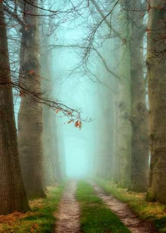 Blue Mist Poster Print by Lars Van de Goor-VARPDXV602D Image 1