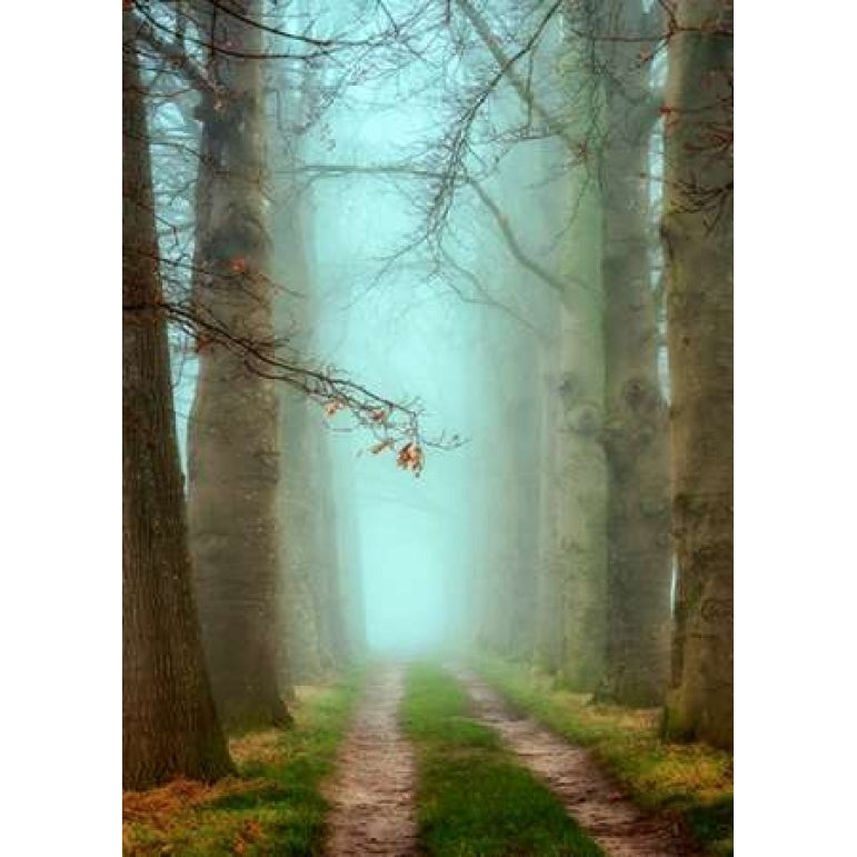 Blue Mist Poster Print by Lars Van de Goor-VARPDXV602D Image 2