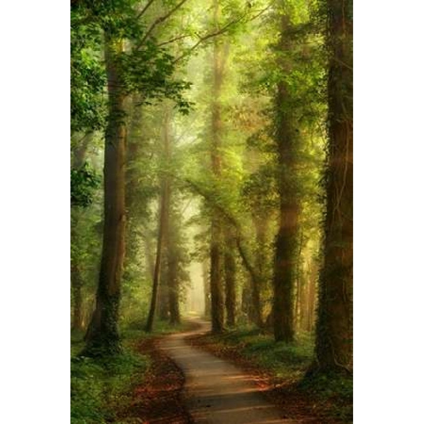 Snake Path Poster Print by Lars Van de Goor-VARPDXV612D Image 2