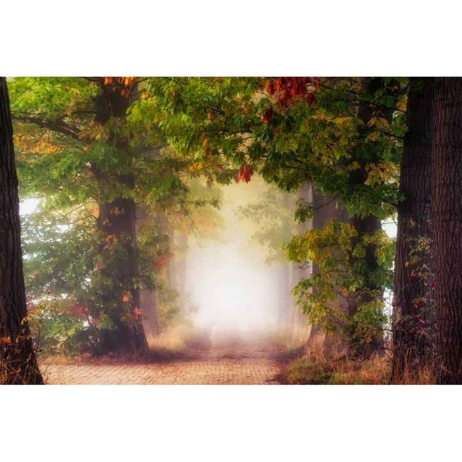 Fall Colors Poster Print by Lars Van de Goor-VARPDXV642D Image 1