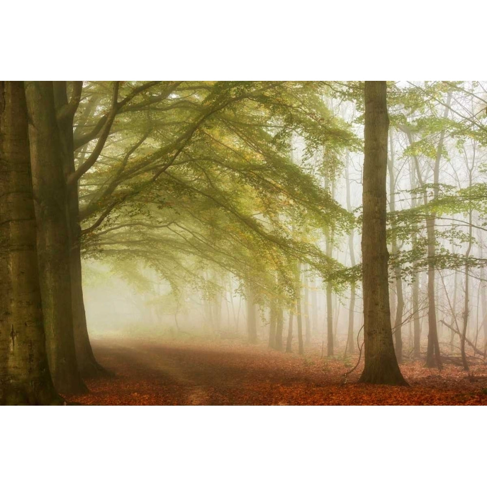 Dreamwalkers Poster Print by Lars Van de Goor-VARPDXV641D Image 1