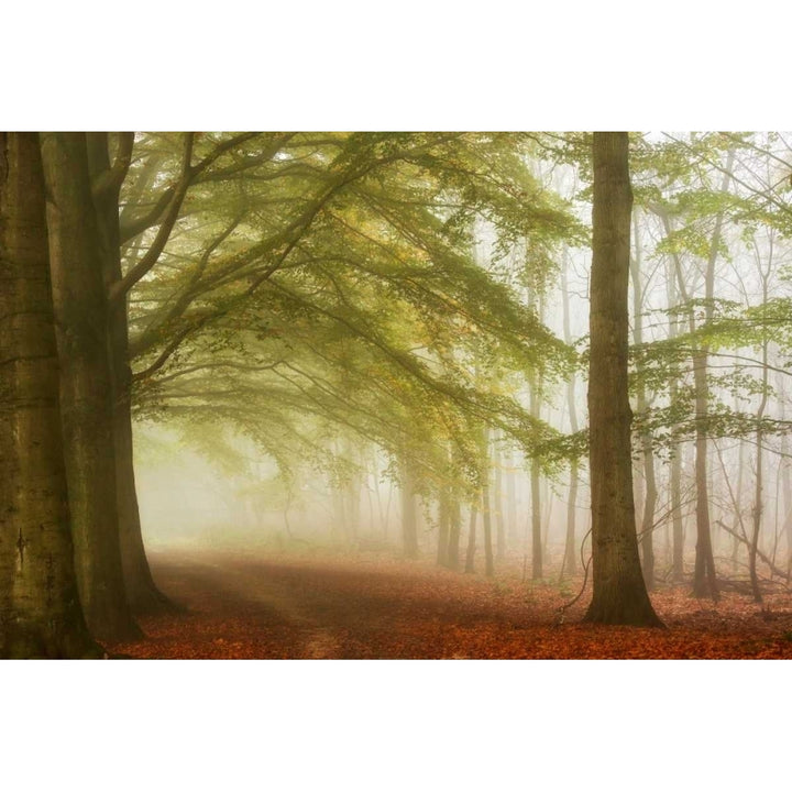 Dreamwalkers Poster Print by Lars Van de Goor-VARPDXV641D Image 2