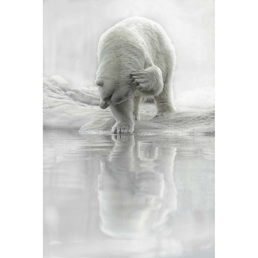 How Do I Look Poster Print by Lars Van de Goor-VARPDXV645D Image 2