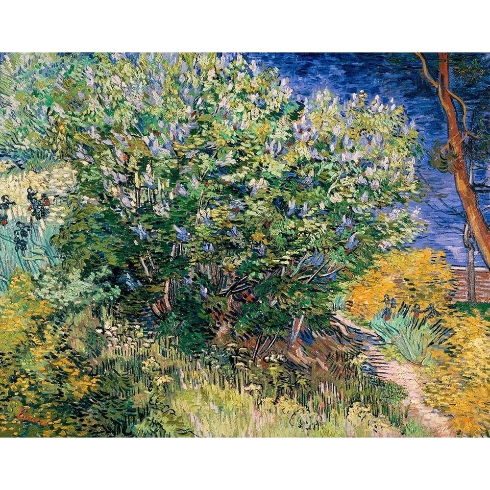 Van Gogh Vincent Poster Print by Lilac Bush-VARPDXV701D Image 1