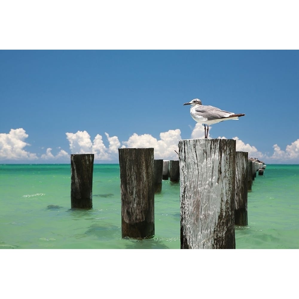 Welcome To Naples Florida Poster Print by Verne Varona-VARPDXV686D Image 2