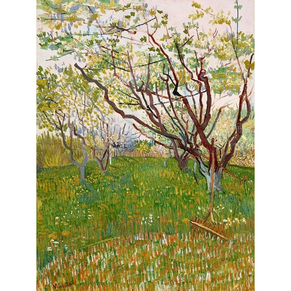 Van Gogh VincentThe Flowering Orchard Poster Print by Vincent Van Gogh-VARPDXV689D Image 1