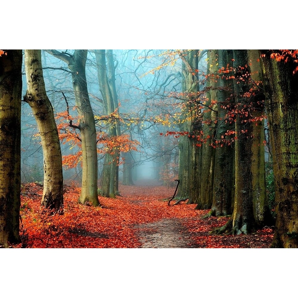 Bussum in Fall Poster Print by Lars Van de Goor-VARPDXV722D Image 1