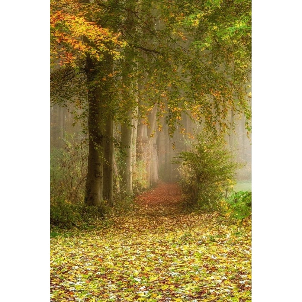 Poetree Poster Print by Lars Van de Goor-VARPDXV727D Image 1