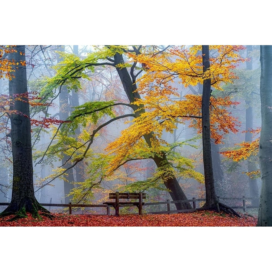 Take A Seat And Enjoy by Lars Van de Goor-VARPDXV774D Image 1