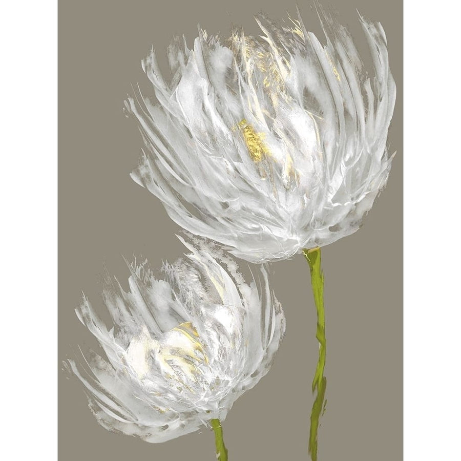 White Tulips II Poster Print by Vanessa Austin-VARPDXVAU115990 Image 1