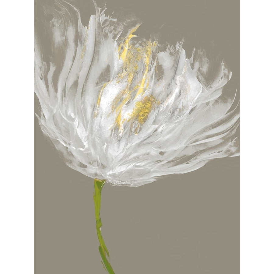 White Tulips I Poster Print by Vanessa Austin-VARPDXVAU115989 Image 1