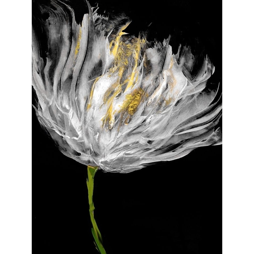 Tulips on Black I Poster Print by Vanessa Austin-VARPDXVAU115995 Image 1