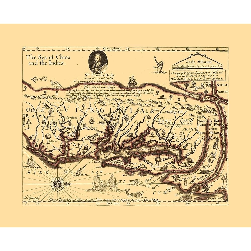 Virginia - Sir Francis Drakes - Hills Poster Print by Hills Hills-VARPDXVAVA0001 Image 1