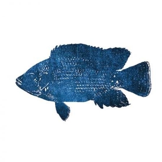 Navy Fish Poster Print by Victoria Brown-VARPDXVBSQ055A Image 2