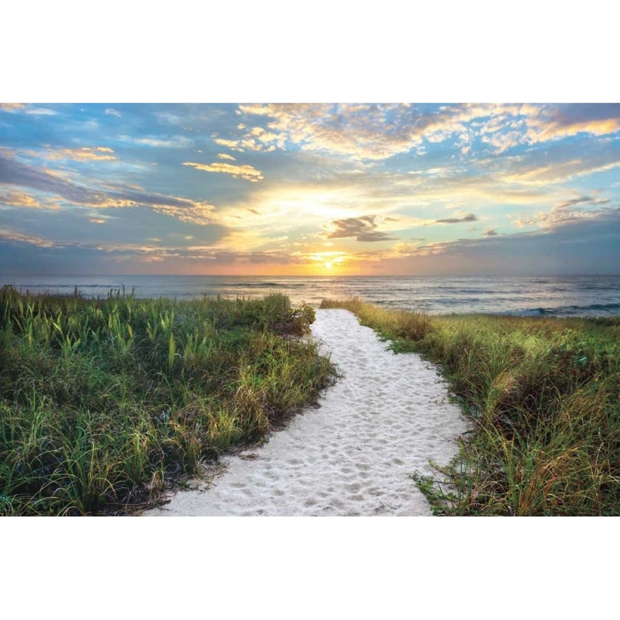 Morning Trail Poster Print by Celebrate Life Gallery-VARPDXVDP124 Image 1