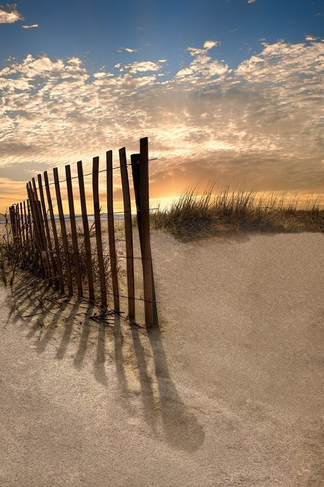 Dune Fence At Sunrise Poster Print by Celebrate Life Gallery-VARPDXVDP126 Image 2