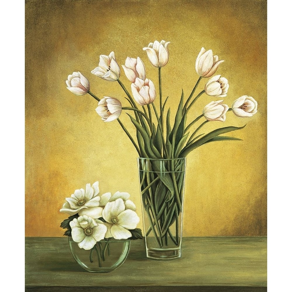 Tulipes blanches Poster Print - Virginia Huntington-VARPDXVH1121 Image 1