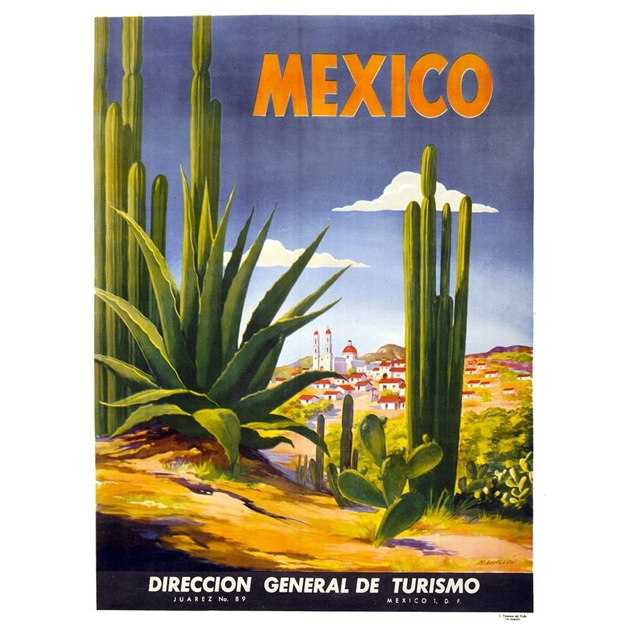 Mexico Cactus Poster Print - Apple Collection Vintage-VARPDXVINAPP116552 Image 1