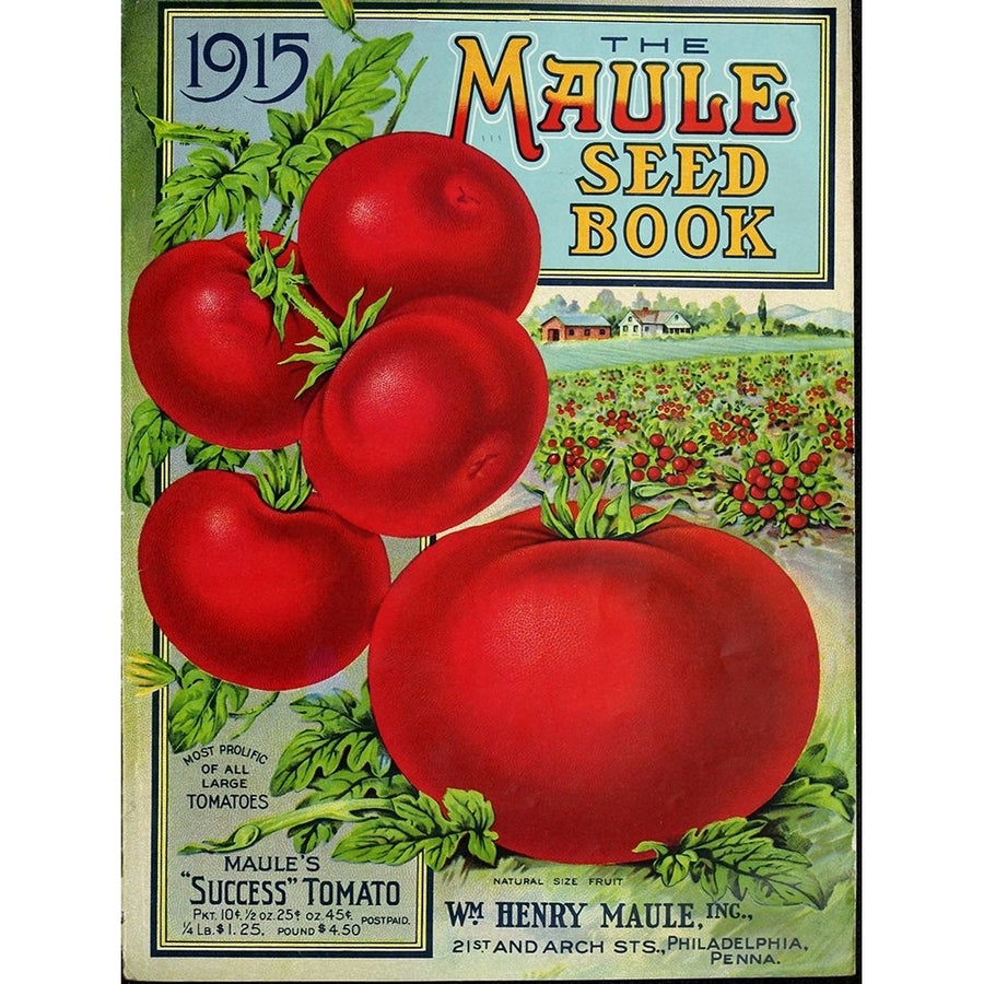 1915 Maule Tomato Poster Print - Apple Collection Vintage-VARPDXVINAPP131498 Image 1